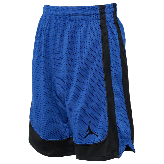 Jordan Air Jordan 2.0 Color Blocked Shorts